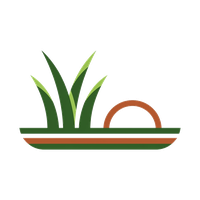 Phoenix Turf Installation